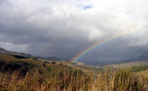 rainbow
